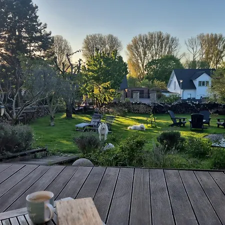 Schönste Lage am Rhein in unmittelbarer Stadtnähe, B&B-3